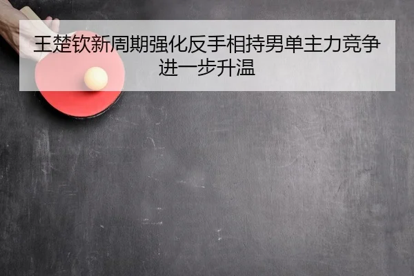 王楚钦新周期强化反手相持男单主力竞争进一步升温
